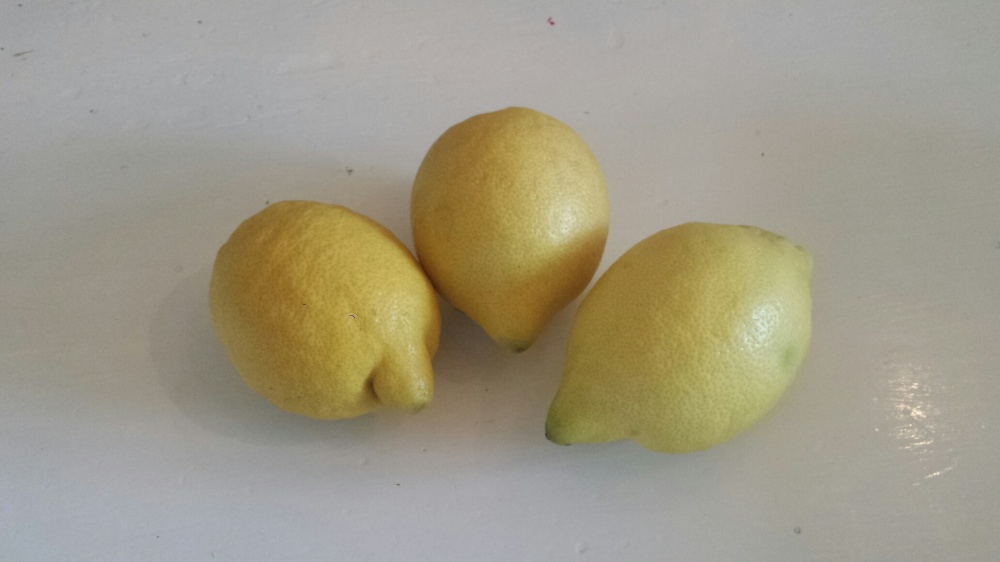 Sitroner klar for å bli limonade.